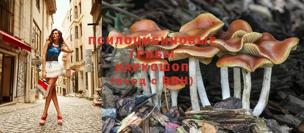 дурь Каменск-Шахтинский