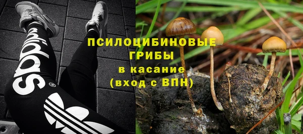 дурь Каменск-Шахтинский