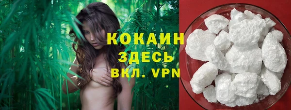 кокс Инта