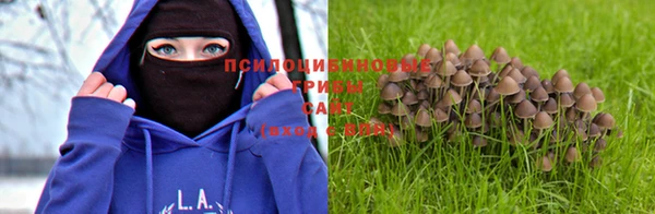 марихуана Каменногорск
